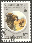 Stamps Uzbekistan -  Camellos