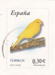 Stamps Spain -  Fauna- Canario       (O)