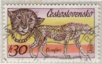 Sellos de Europa - Checoslovaquia -  136 Gepard