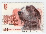 Stamps Spain -  Perdiguero de Burgos