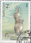 Stamps Russia -  topo