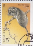 Sellos de Europa - Rusia -  desert dormouse