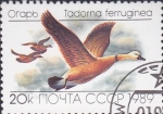 Stamps Russia -  patos