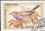 Stamps Russia -  parus