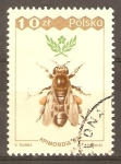 Sellos de Europa - Polonia -  ABEJA  OBRERA