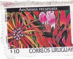 Stamps Uruguay -  Aechmea recurvata