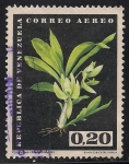 Sellos de America - Venezuela -  Cycnoches chlorochilon. (Aéreo)