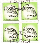 Stamps United Arab Emirates -  ANIMALES SALVAJES- AJMAN