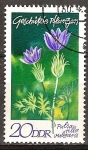 Sellos de Europa - Alemania -  plantas protegidas(Pulsatilla vulgaris)-DDR.