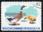 Sellos del Mundo : Asia : North_Korea : Ducks & goose. 