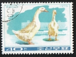 Sellos de Asia - Corea del norte -  Ducks & goose. 