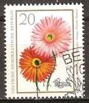 Stamps : Europe : Germany :  iga - la cría flor(Gerbera, Gerbera jamesonii)DDR.