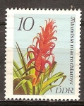 Stamps Germany -  Bromelias. Tillandsia macrochlamys-DDR.