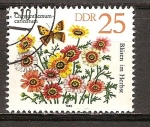 Stamps Germany -  Flores en otoño,Chrysanthemum carinatum-DDR.