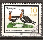 Stamps Germany -  Animales en peligro de extinción( Ganso de pecho rojo)DDR. 