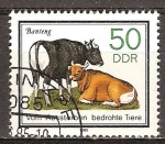 Stamps Germany -  Animales en peligro de extinción, banteng (Bos javanicus)DDR. 