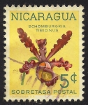 Sellos de America - Nicaragua -  SCHOMBURGKIA TIBICINUS,