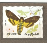 Stamps United Arab Emirates -  INSECTO