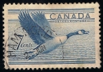 Stamps Canada -  Ganso canadiense.