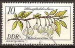 Stamps Germany -  Halesia carolina (Arboretum de Berlín)DDR.