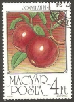 Stamps Hungary -  3061 - Manzanas