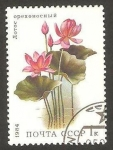 Stamps Russia -  5095 - flora