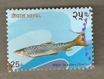 Stamps Nepal -  Pez de río