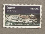 Sellos de Asia - Nepal -  Budhanilkan