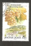 Stamps Hungary -  3287 - Región vinicola de Hungría, vista de la localidad y cepa, Badacsony et Riesling italien