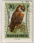 Stamps Hungary -  74 Bubo bubo