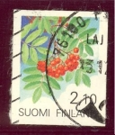 Sellos de Europa - Finlandia -  1991 Bayas - Ybert:1092