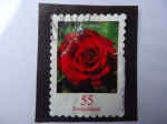 Stamps Germany -  Rosa roja.