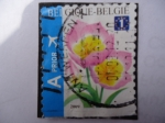 Stamps Belgium -  Flor de Tulipán - Tulip Bakeri selfadh.