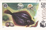 Stamps Poland -  PLATICHTHYS FLESUS- PZW