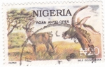 Sellos del Mundo : Africa : Nigeria : ANTÍLOPES