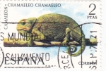 Stamps Spain -  Camaleón-FAUNA HISPÁNICA  (y)