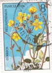 Stamps Spain -  FLORA- Hellantheumun paniculatum    (y)