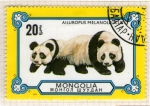 Stamps Mongolia -  28  Ailuropus melancolicus