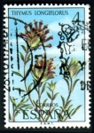 Stamps Spain -  1974 Flora. Thymus longiflorus - Edifil:2222