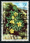 Sellos de Europa - Espa�a -  1974 Flora. Hypericum ericoides - Edifil:2221