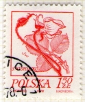 Stamps Poland -  11 Flora