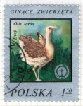 Stamps Poland -  39 Otis tarda