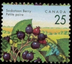 Sellos de America - Canad -  Saskatoon Berry