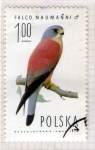 Stamps Poland -  45 Falco Naumanni