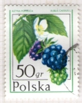 Stamps Poland -  56 Rubus caesius