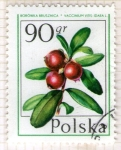 Stamps Poland -  89 Vacinnium vitis