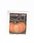 Stamps Sweden -  Calabaza