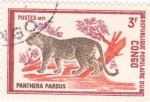 Stamps Republic of the Congo -  PANTERA PARDA