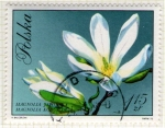 Stamps Poland -  252 Flora