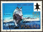 Stamps Poland -  Congreso Internacional de Caza y el Consejo de 50 Aniv de la Asociación Polaca de Caza (Lobo).